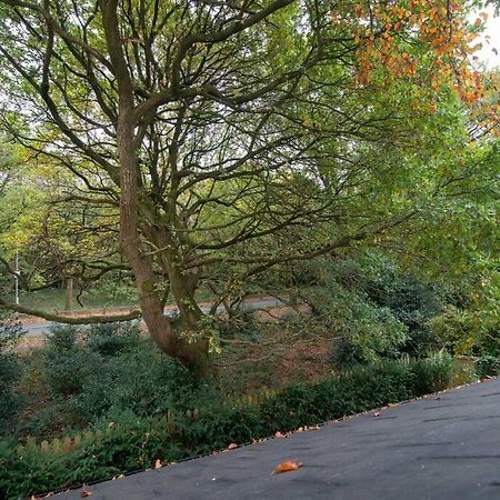 Luxury Coach House Next To Woodland In Knutsford Villa Dış mekan fotoğraf