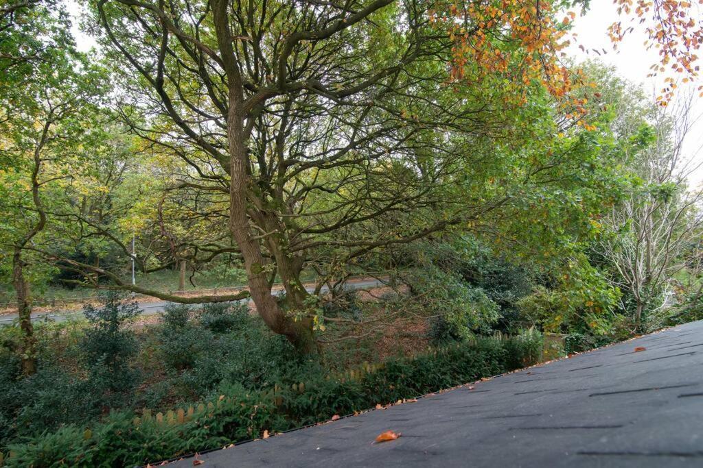 Luxury Coach House Next To Woodland In Knutsford Villa Dış mekan fotoğraf